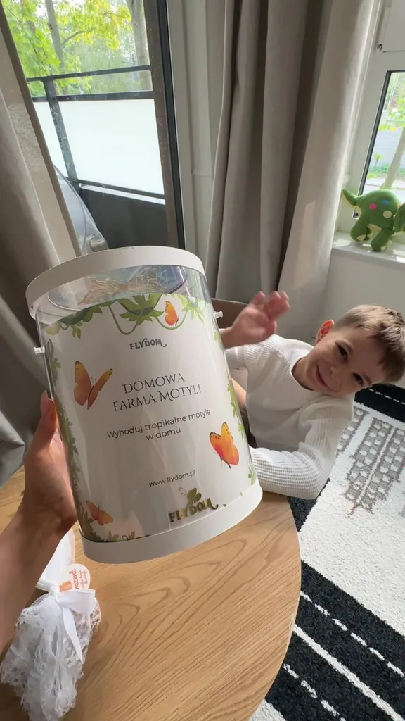 Kind am Fenster neben der Schmetterlingsfarm